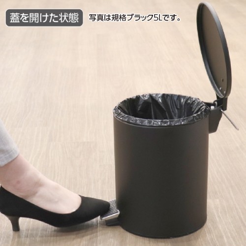 ゴミ箱 蓋付きゴミ箱 幅205×奥行272×高さ270mm 静音タイプ 容量5L DS