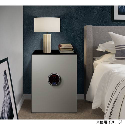 金庫 耐火金庫 おしゃれ 36L タッチパネル 指紋認証 在宅勤務 在宅