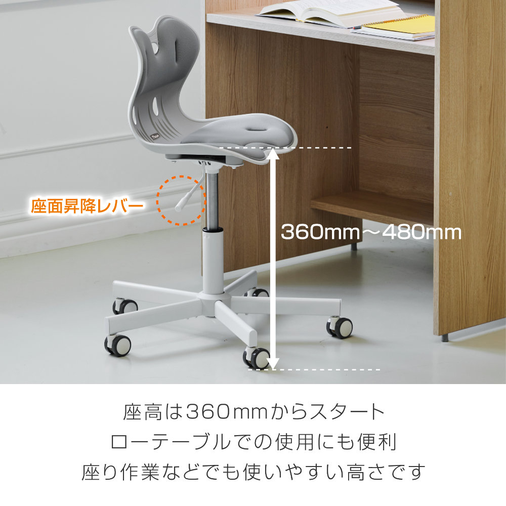 オフィスチェア サポートチェア 骨盤サポートチェア 姿勢 骨盤 RC1100