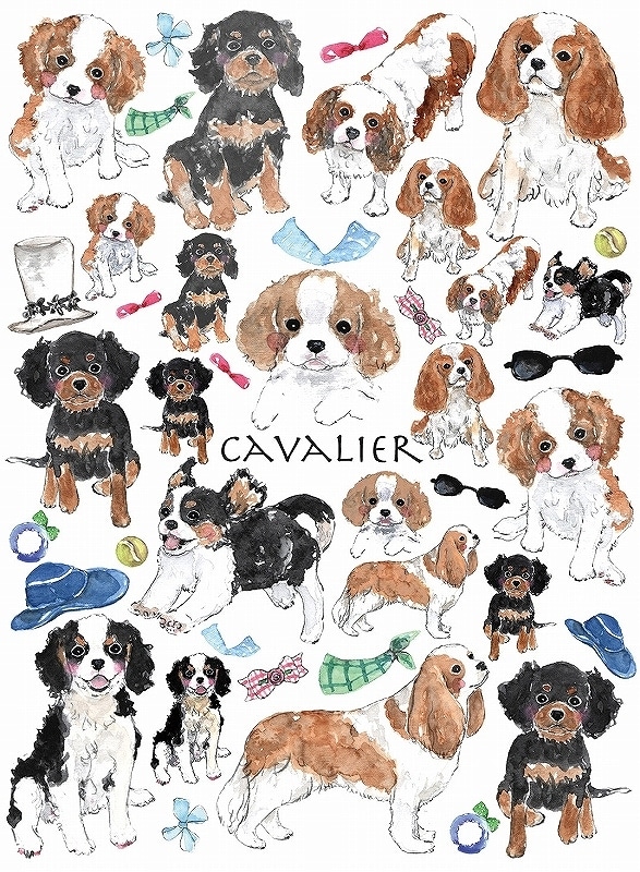 【在庫限り終了】キャバリア A4サイズ 