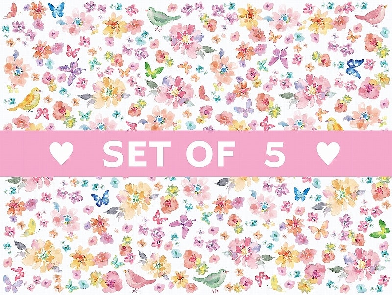 【5枚SET】シナリー (1枚あたり1500円)A4