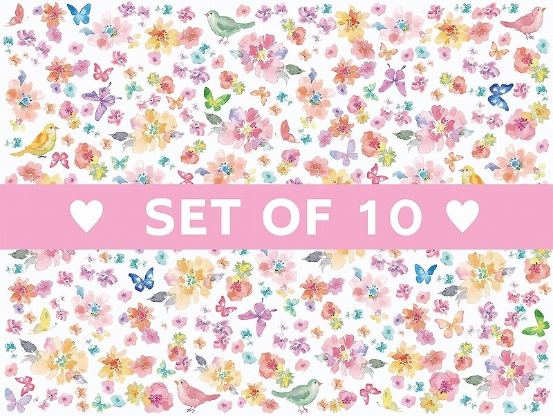 【10枚SET】シナリー (1枚あたり1300円)A4