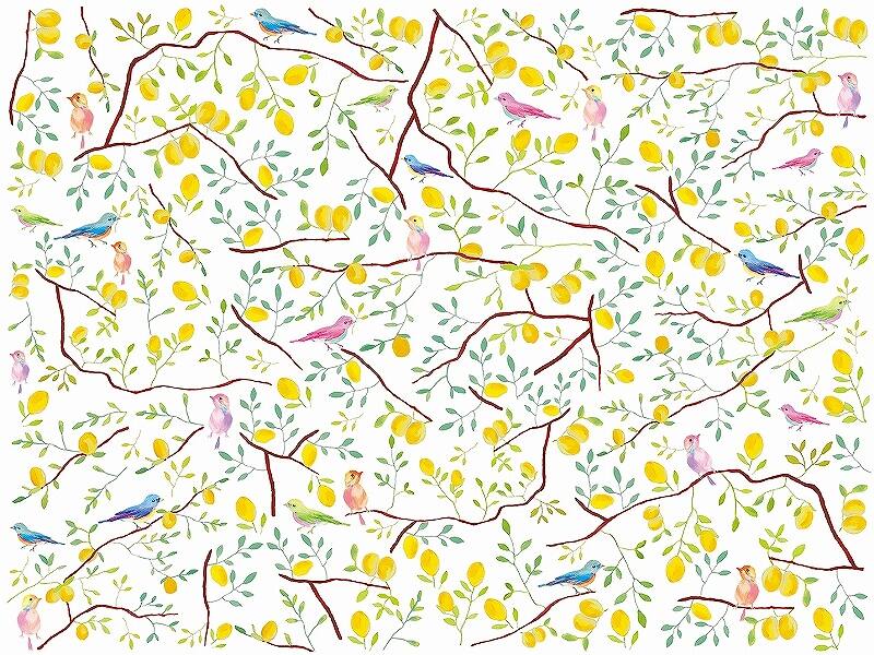 レモンツリー A4