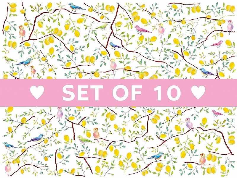 【10枚SET】レモンツリー (1枚あたり1300円)A4
