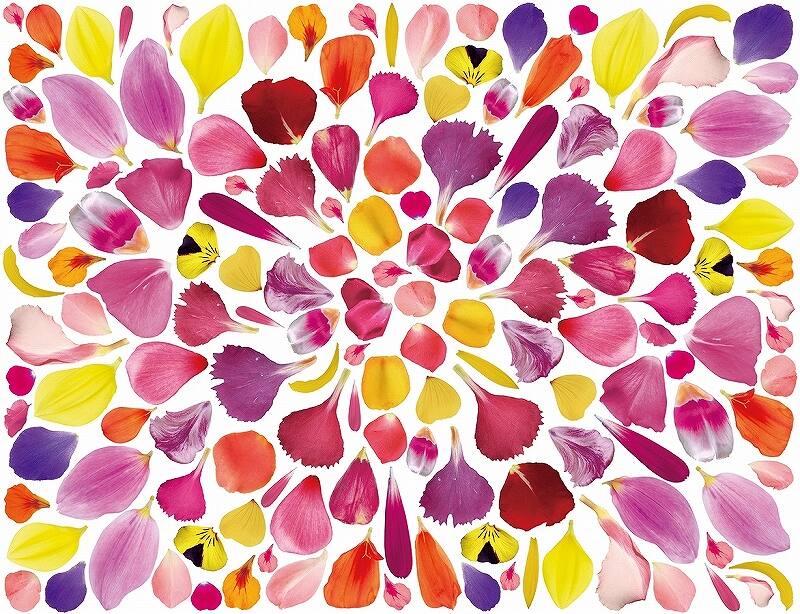 ガラス用フラワーペタル A4