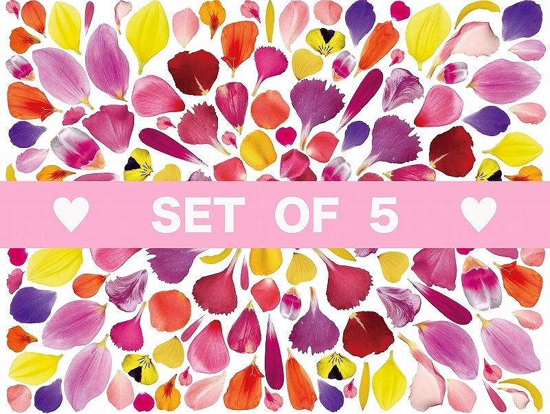 【5枚SET】ガラス用フラワーペタル (1枚あたり1500円)A4