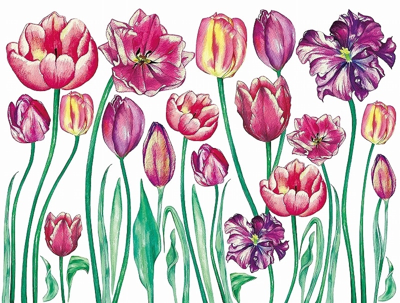 ガラス用チューリップ A4