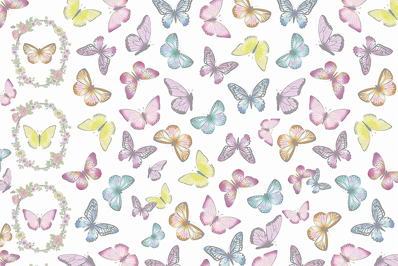 ガラス用マリポサ A4