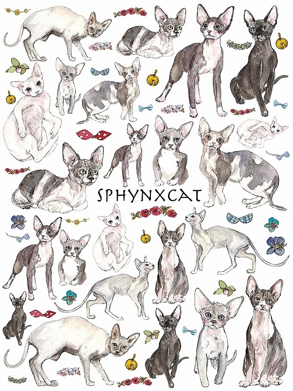 スフィンクス はがきサイズ