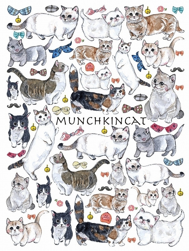 マンチカン はがきサイズ