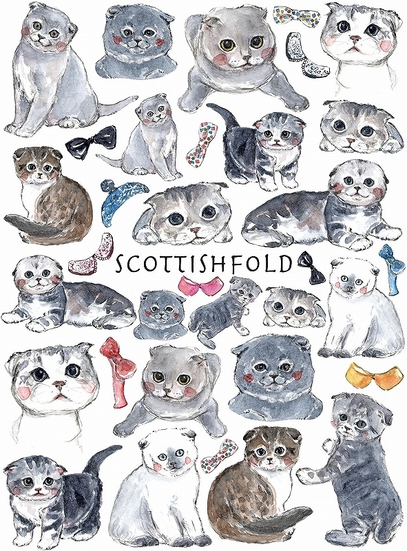 ガラス用スコティッシュフォールド はがきサイズ