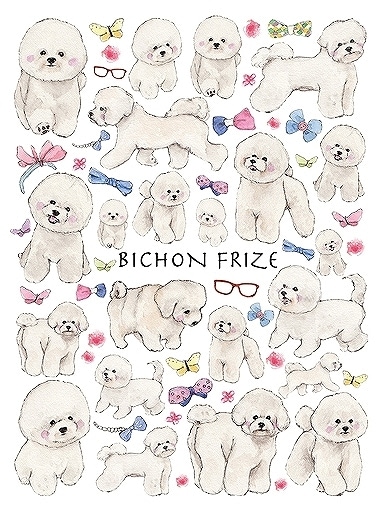 ガラス用ビションフリーゼ はがきサイズ