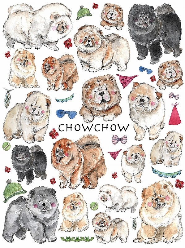 チャウチャウ はがきサイズ