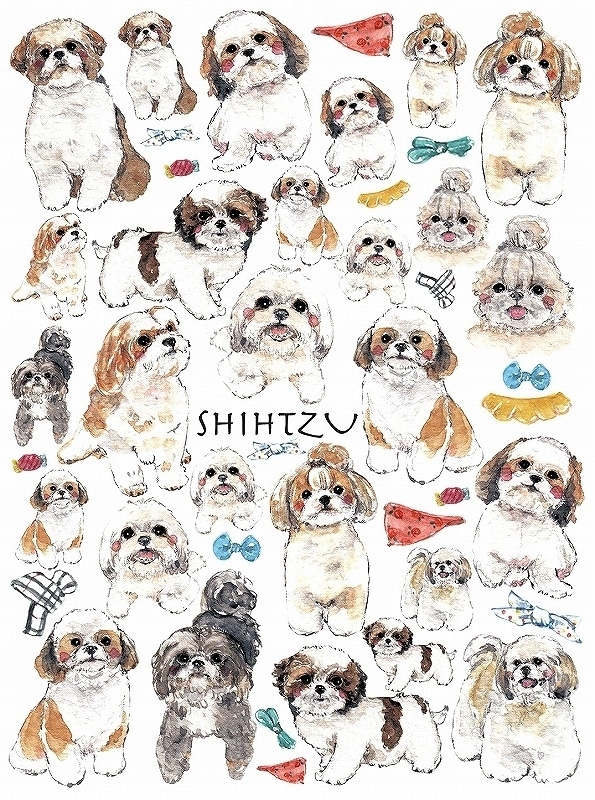 シーズー はがきサイズ