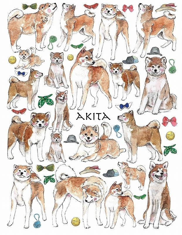 秋田犬 はがきサイズ