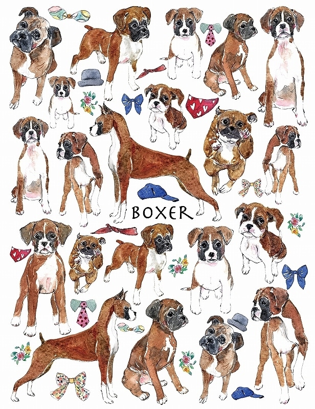 ガラス用ボクサー はがきサイズ