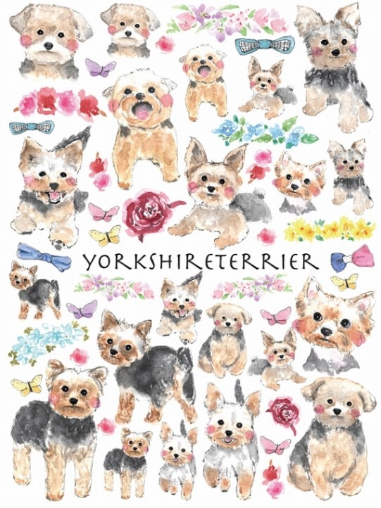 【在庫限り終了】ヨークシャテリア A4サイズ 