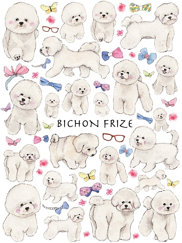 【在庫限り終了】ビションフリーゼ A4サイズ 