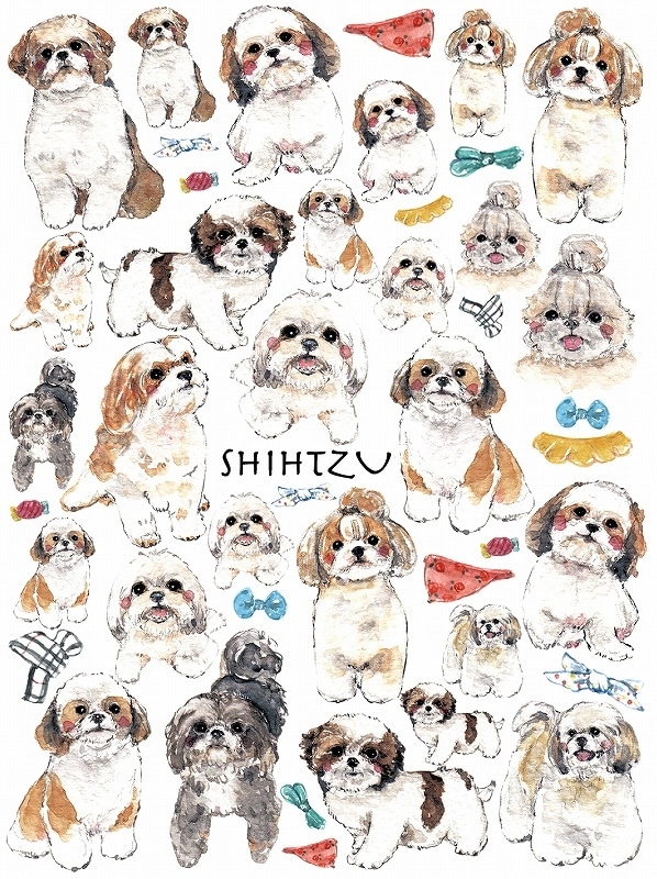 【在庫限り終了】シーズー A4サイズ 