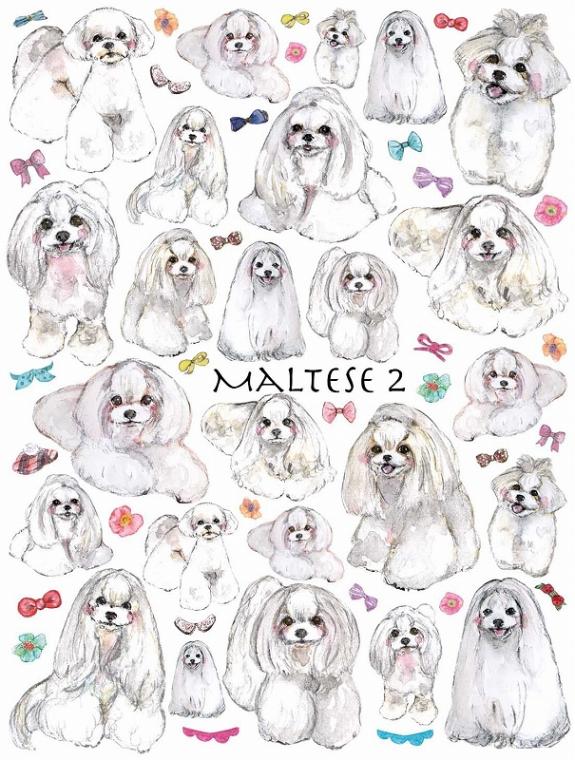 ガラス用マルチーズ2 はがきサイズ