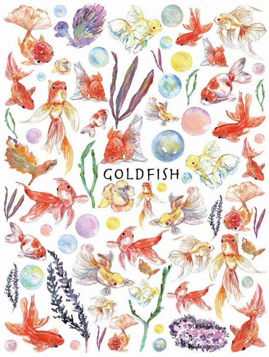 金魚 はがきサイズ
