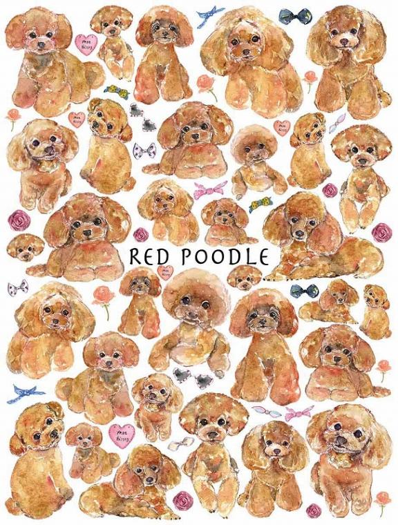 ガラス用トイプードルレッドはがきサイズ