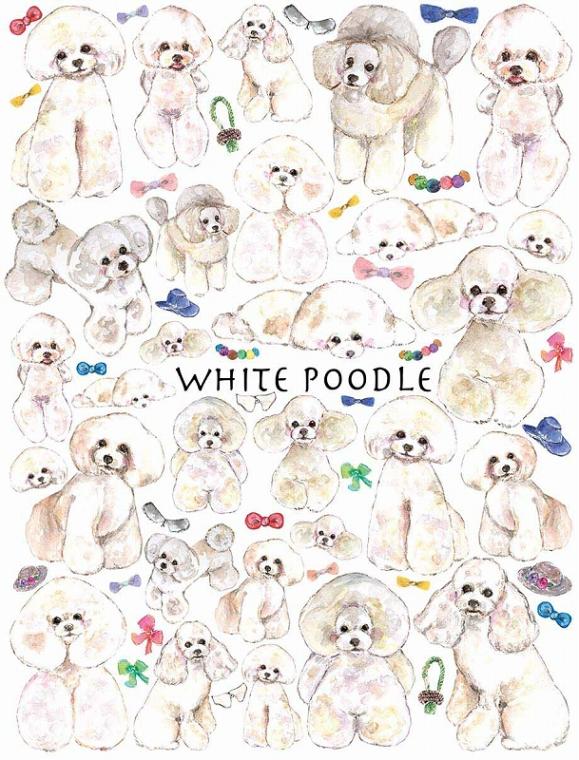 ガラス用トイプードルホワイトはがきサイズ