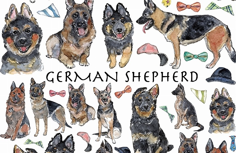 ガラス用シェパード はがきサイズ