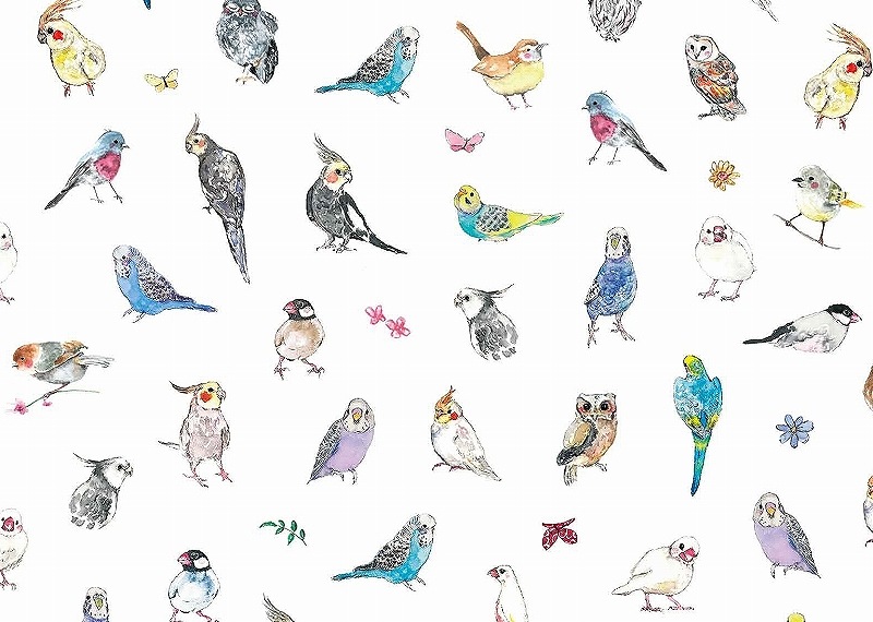 【5枚SET】ガラス用バードコレクションS (1枚あたり1900円)A3