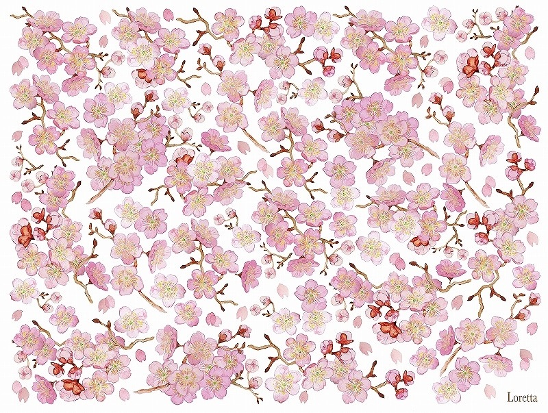 和柄チェリーブロッサムA4