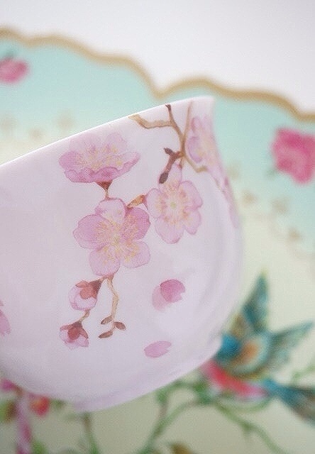 和柄チェリーブロッサムA4