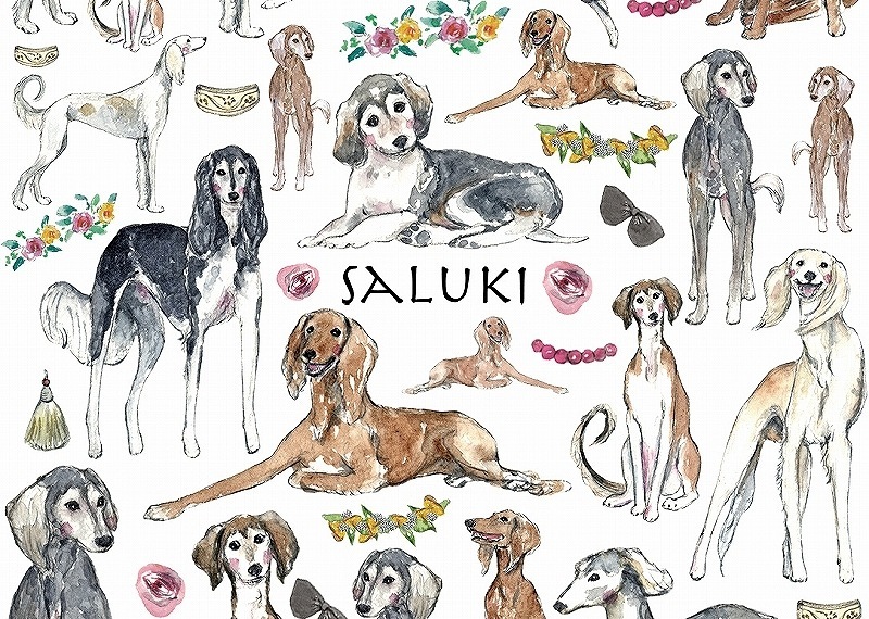 ガラス用サルーキ はがきサイズ