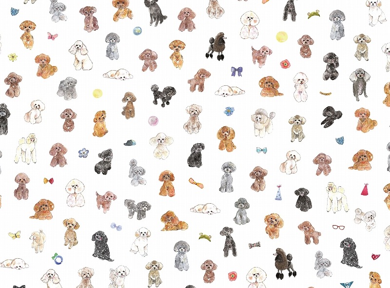 【5枚SET】プードルコレクションS (1枚あたり1900円)A3