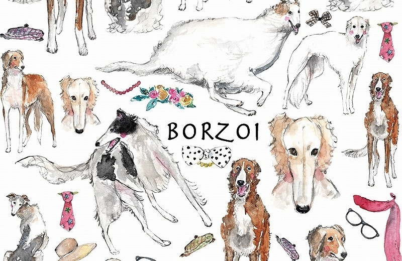 ボルゾイ はがきサイズ