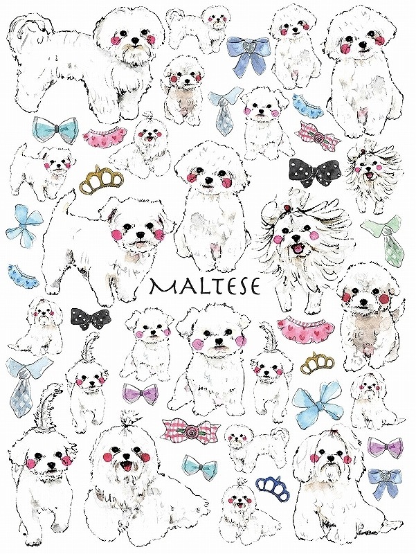 ガラス用マルチーズ はがきサイズ