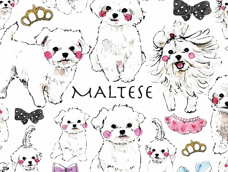 ガラス用マルチーズ はがきサイズ