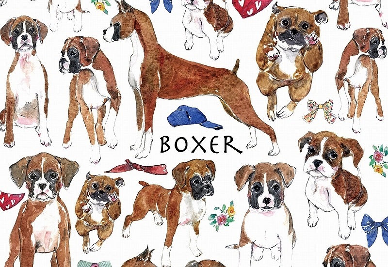 ボクサー はがきサイズ