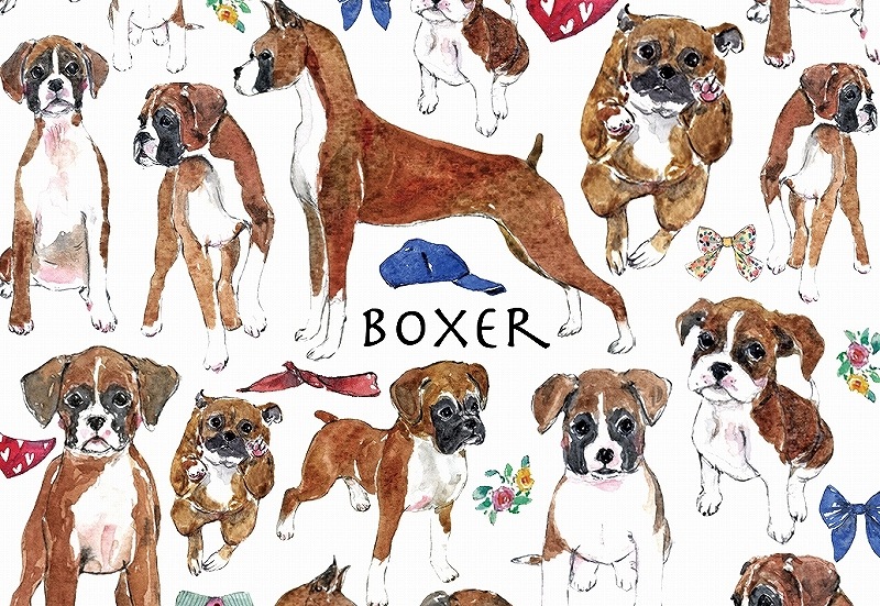 ガラス用ボクサー はがきサイズ