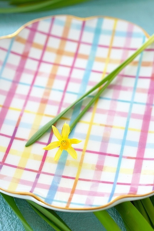 【5枚SET】パステルチェック(1枚あたり1900円)A3