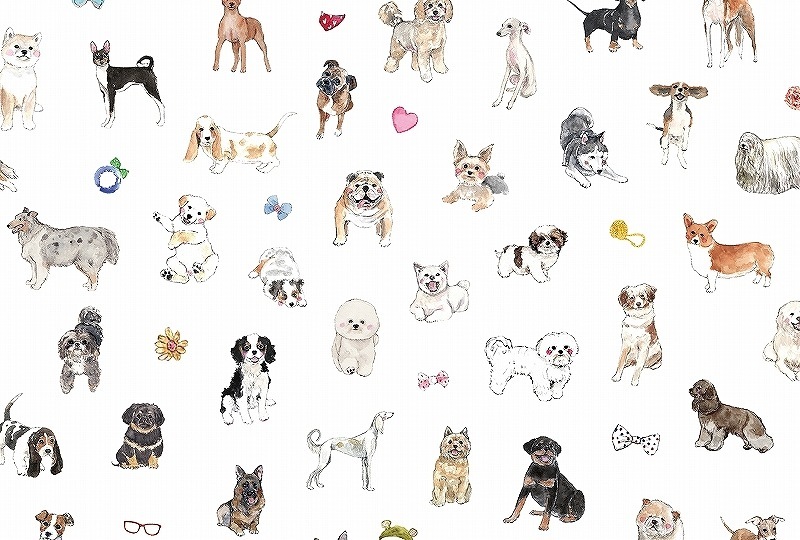 【5枚SET】ガラス用ドッグコレクションS (1枚あたり1900円)A3