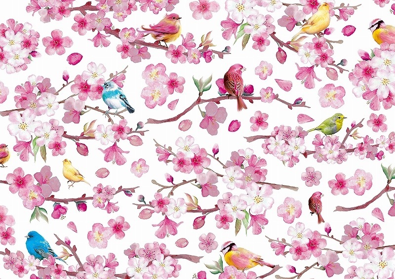 チェリーブロッサムバード A3