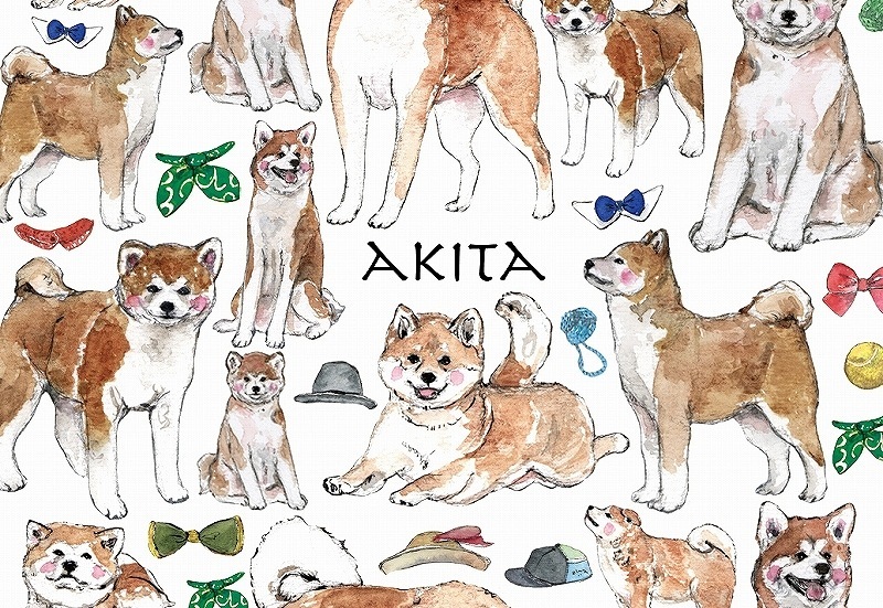 秋田犬 はがきサイズ
