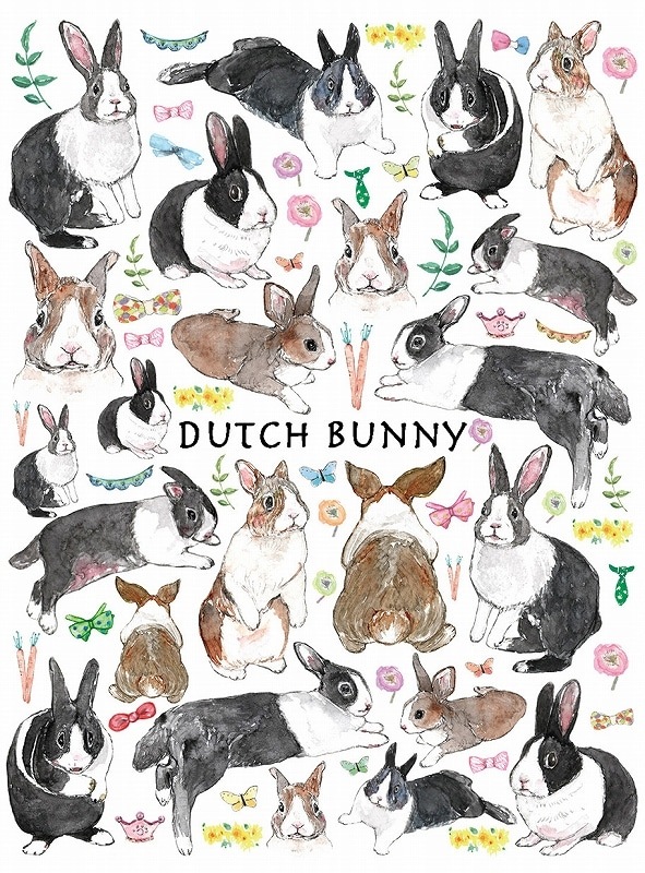 ダッチバニー はがきサイズ