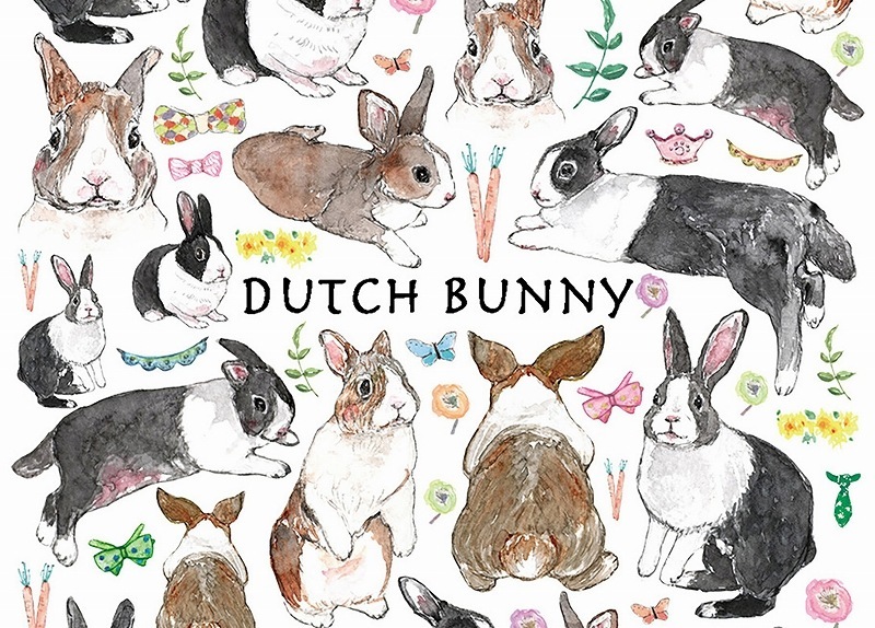 ダッチバニー はがきサイズ