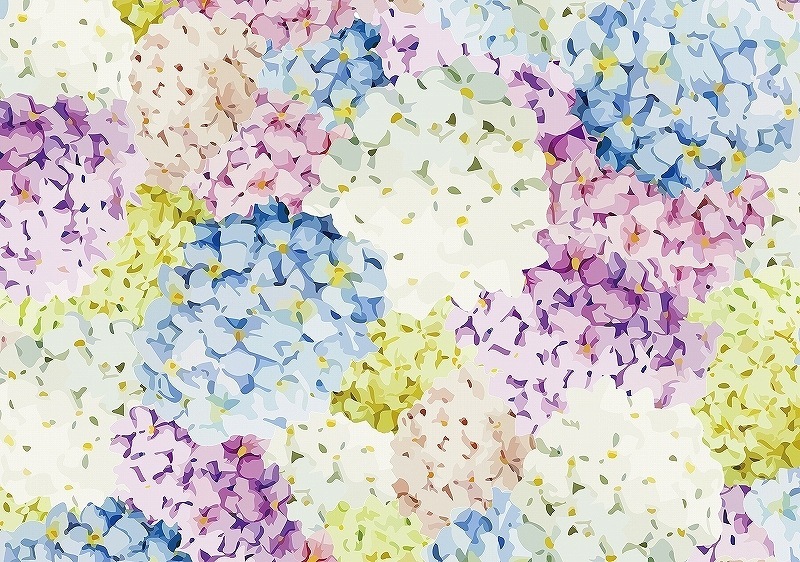 シャーロットA3