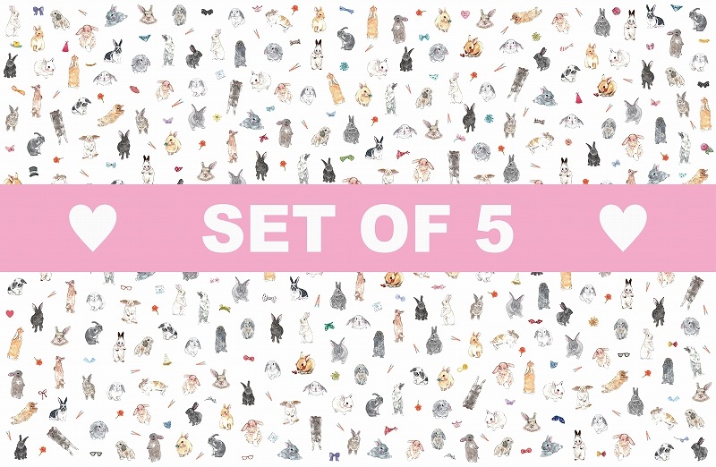 【5枚SET】バニーコレクションS (1枚あたり1900円)A3