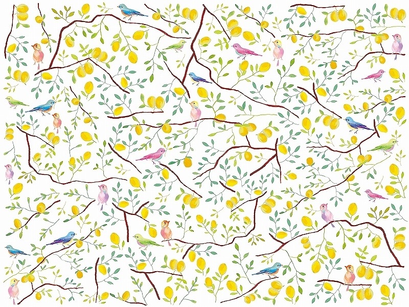 レモンツリー A4