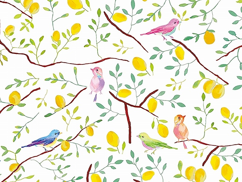 レモンツリー A4