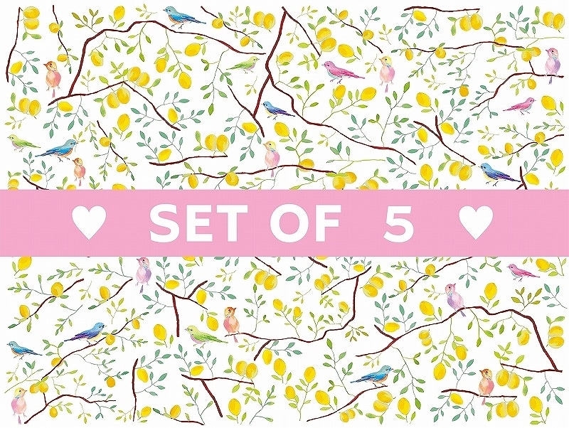 【5枚SET】レモンツリー (1枚あたり1500円)A4