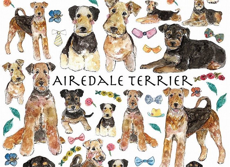 ガラス用エアデールテリア  はがきサイズ